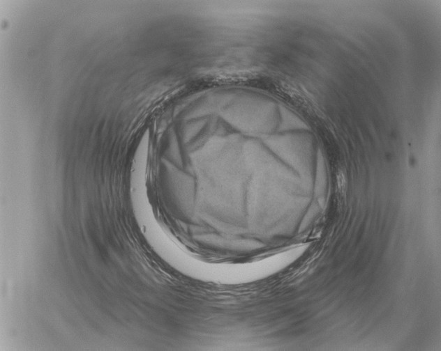 X0000058141300200510212100