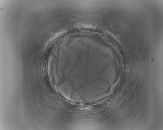 X0000058141303200510212100