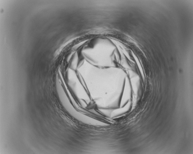 X0000058141304200510212100