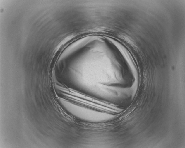 X0000058141308200510212101