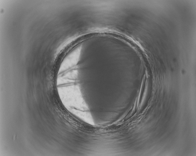 X0000058141311200510212101