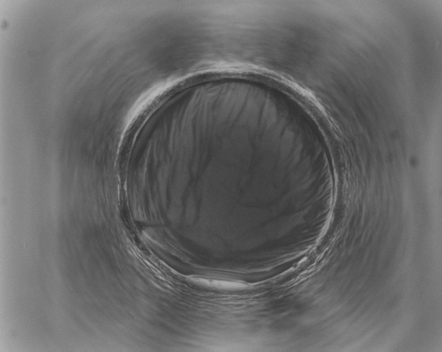 X0000058141319200510212101