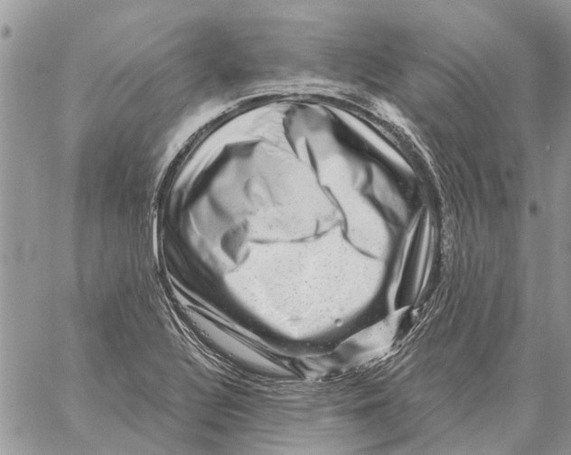 X0000058141320200510212101