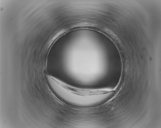 X0000058141321200510212101