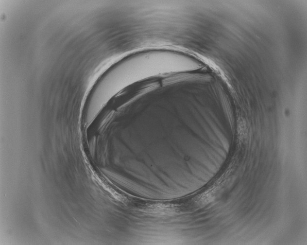 X0000058141327200510212101