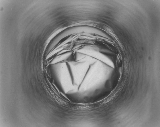 X0000058141328200510212101