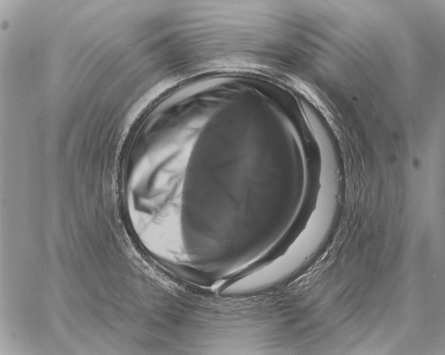 X0000058141331200510212101