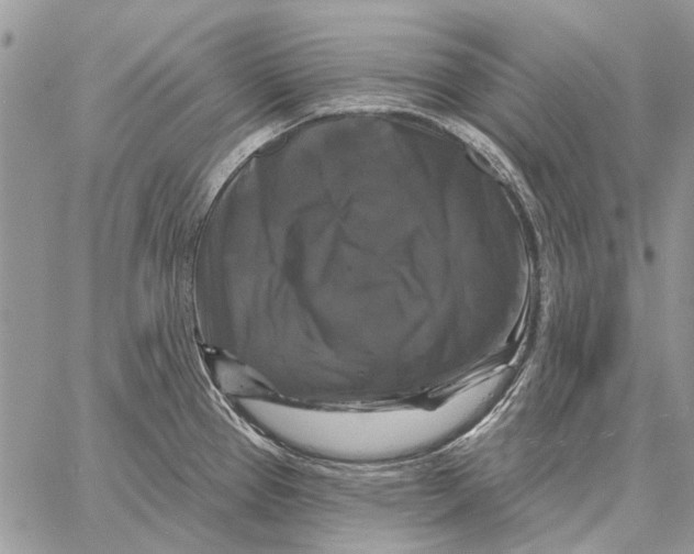 X0000058141337200510212101