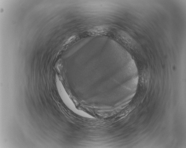 X0000058141346200510212100