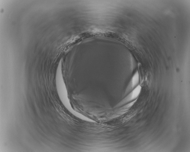 X0000058141348200510212100