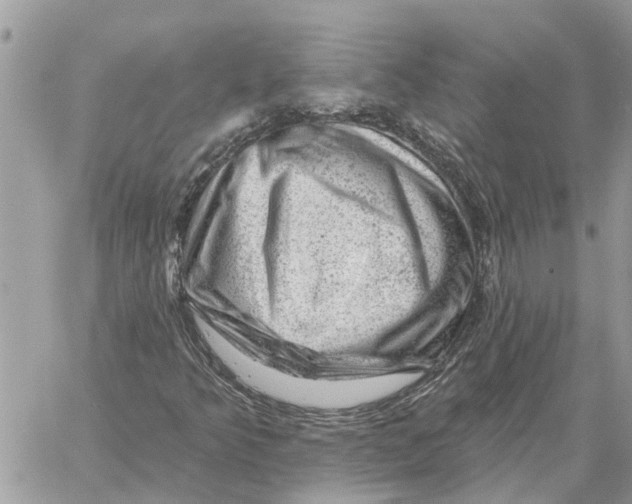 X0000058141349200510212100