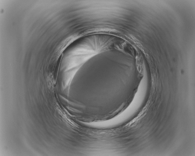 X0000058141369200510212100