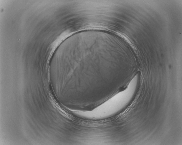 X0000058141371200510212100