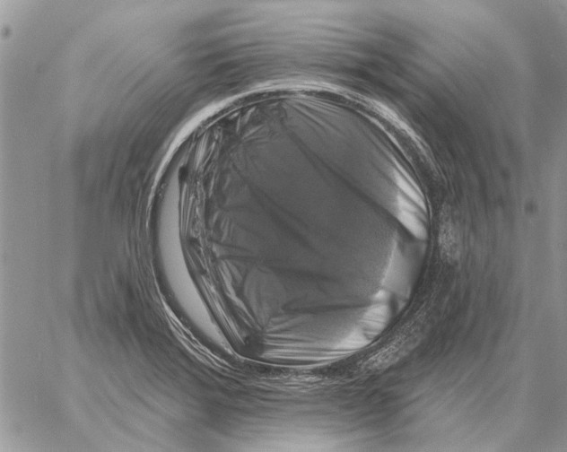 X0000058141372200510212100