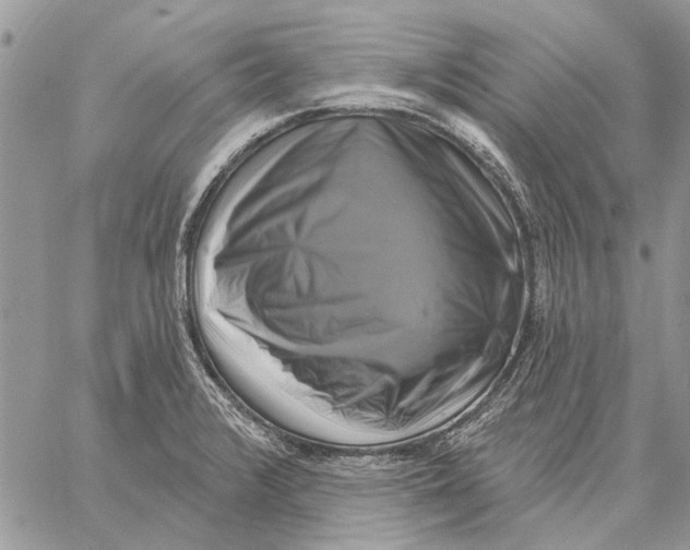 X0000058141376200510212100
