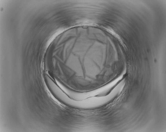 X0000058141383200510212100