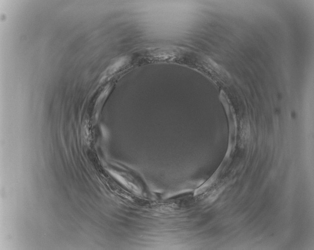X0000058141394200510212059