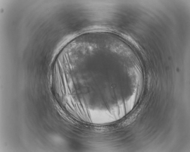 X0000058141413200510212059