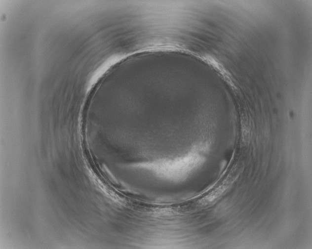 X0000058141422200510212059