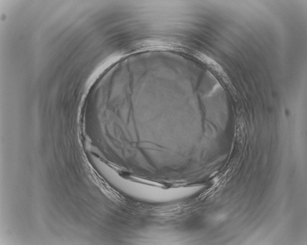 X0000058141427200510212059