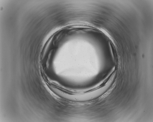 X0000058141438200510212100
