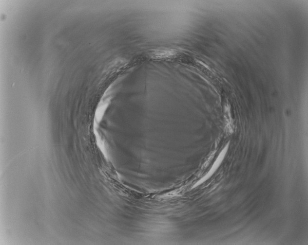 X0000058141441200510212059