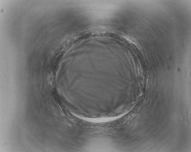 X0000058141445200510212059