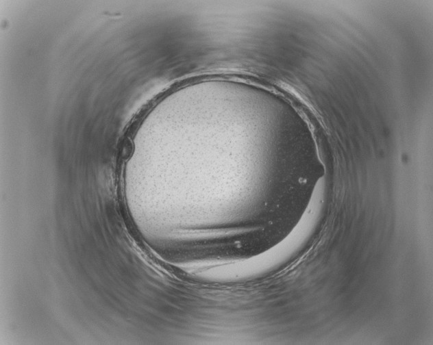 X0000058141452200510212059