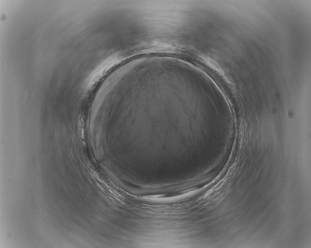 X0000058141455200510212059