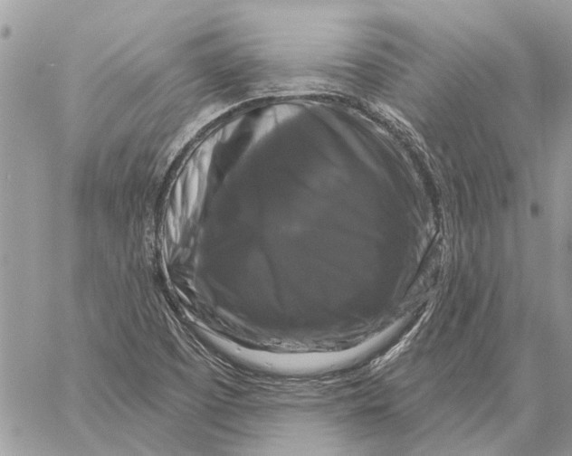 X0000058141457200510212059