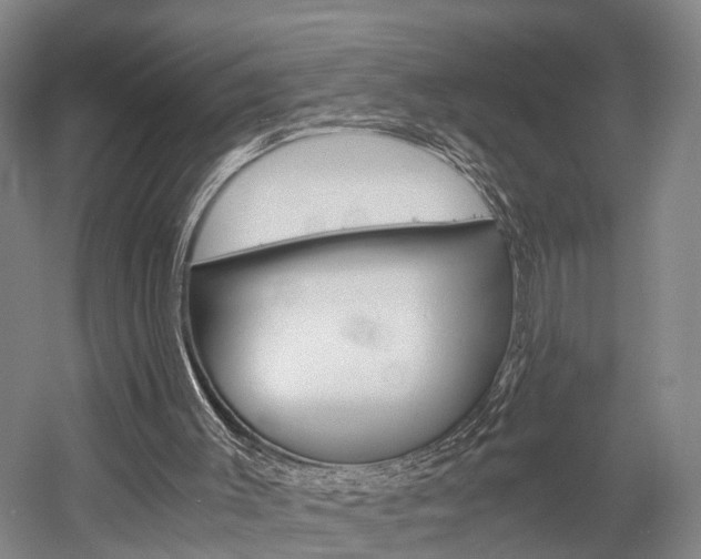 X0000058760003200509300826