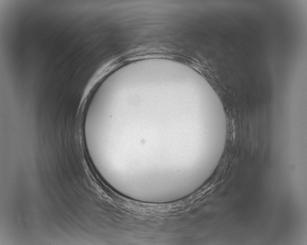 X0000058760004200509300826