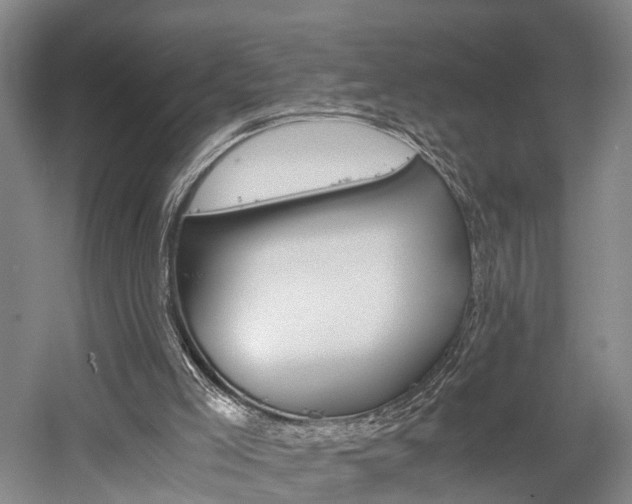X0000058760005200509300826