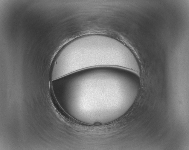 X0000058760011200509300826