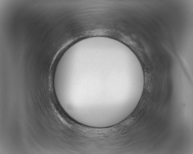 X0000058760012200509300826