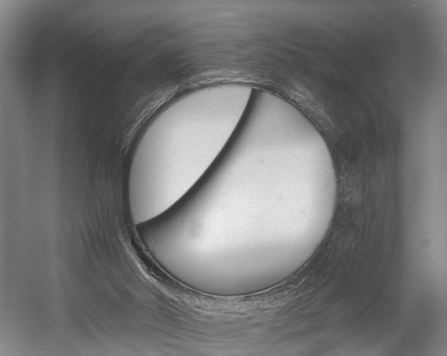 X0000058760014200509300825