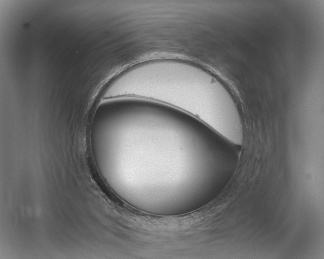 X0000058760015200509300825