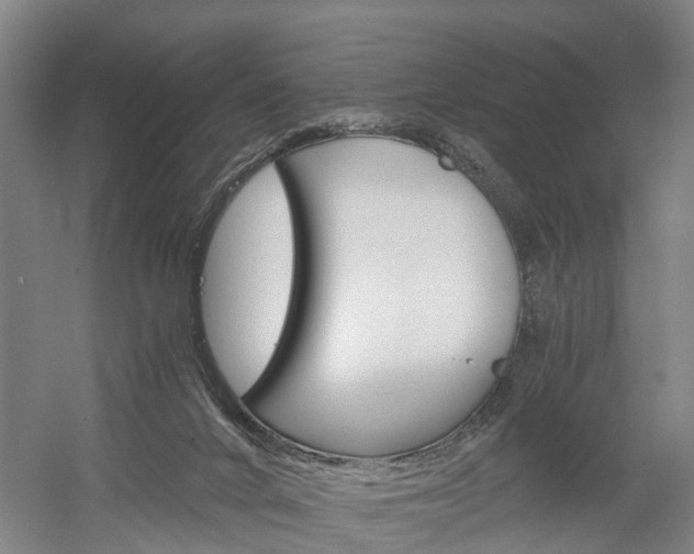 X0000058760024200509300825