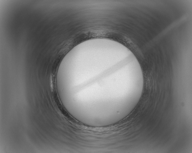 X0000058760026200509300825
