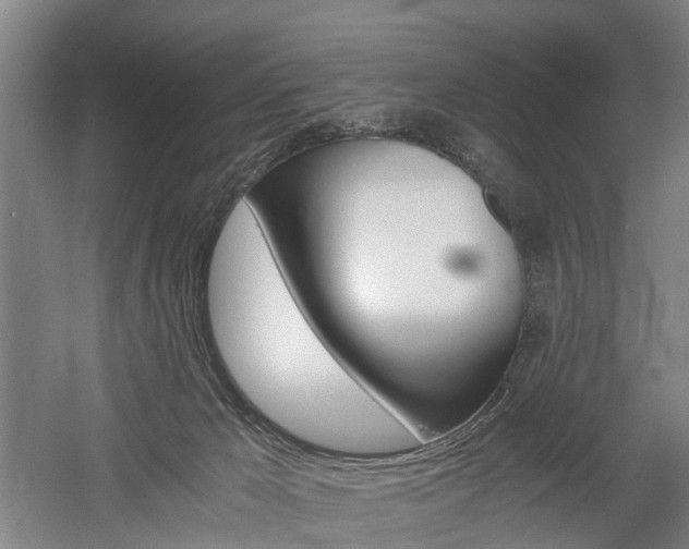 X0000058760029200509300825