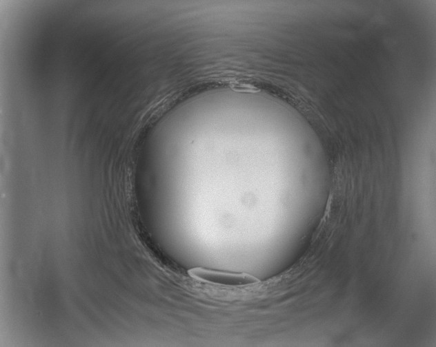 X0000058760043200509300825