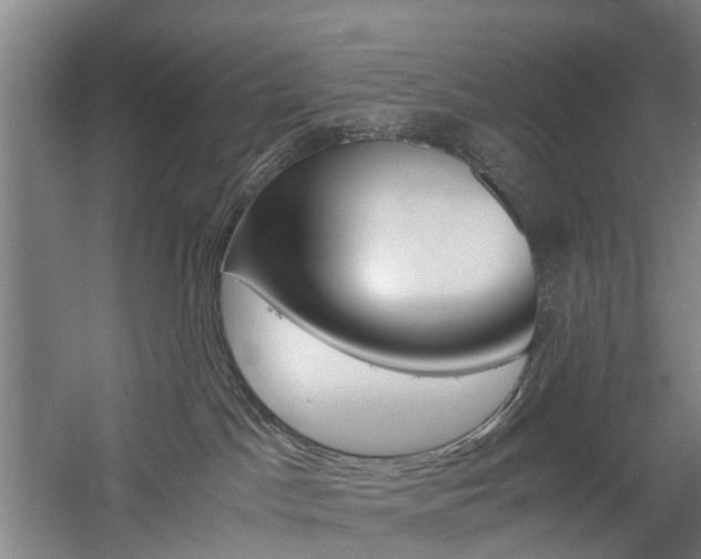 X0000058760045200509300825