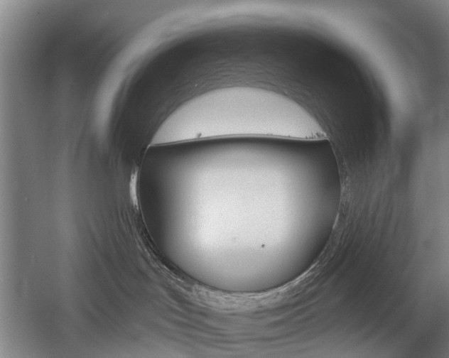 X0000058760047200509300825