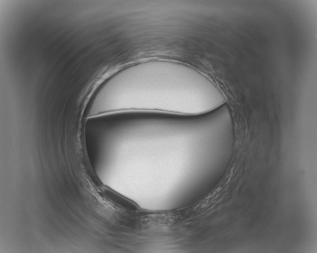 X0000058760050200509300824