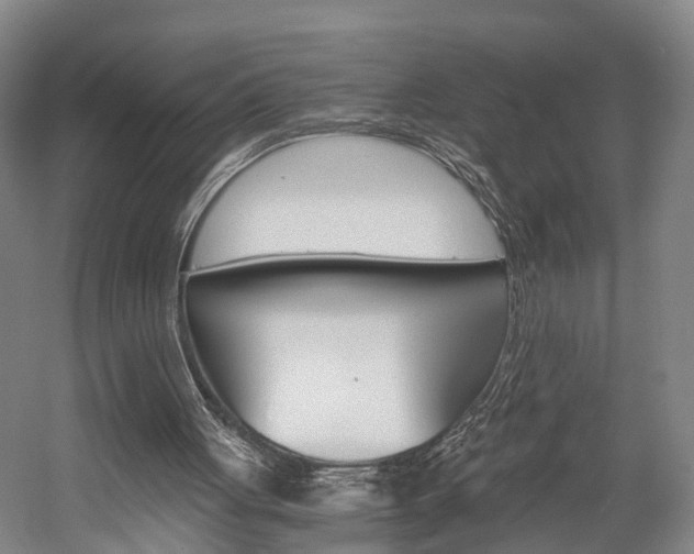X0000058760051200509300824