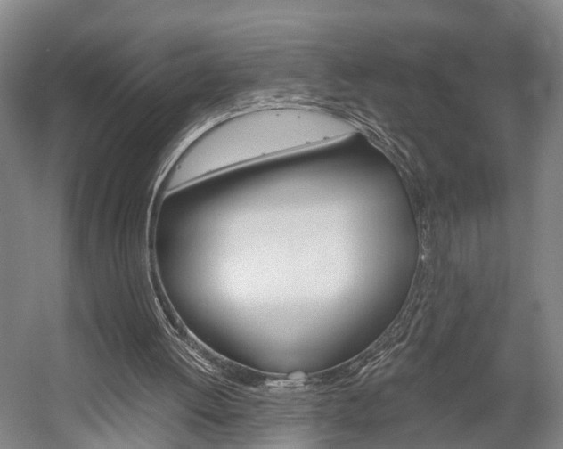 X0000058760052200509300824