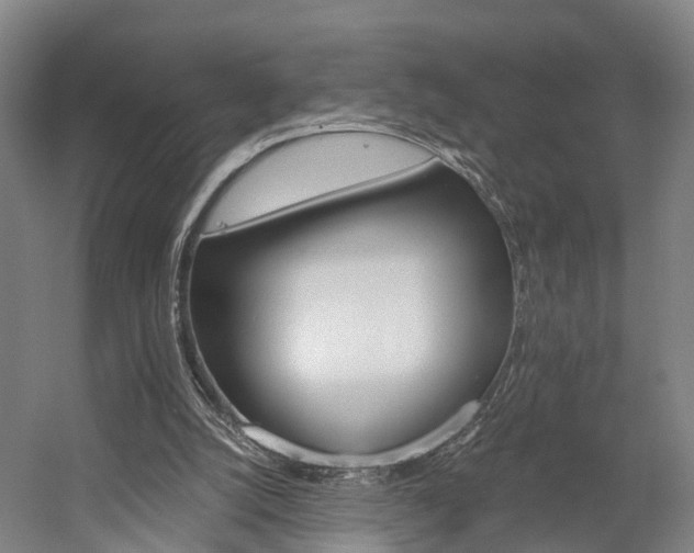 X0000058760056200509300824