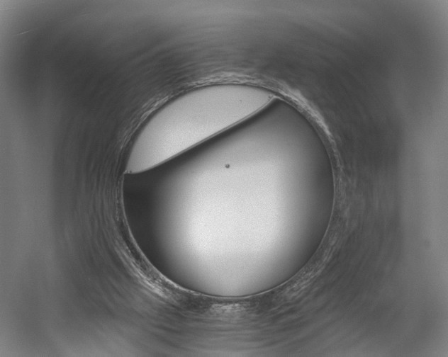 X0000058760057200509300824
