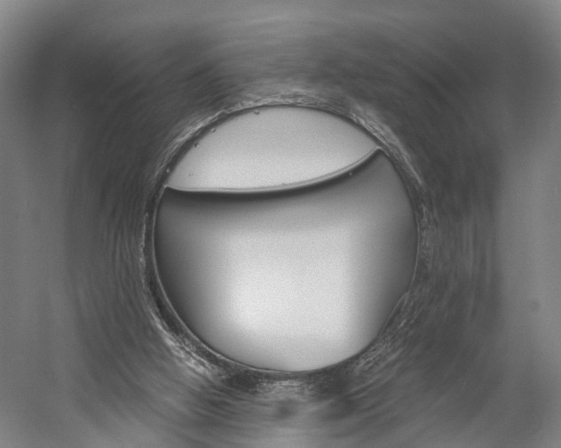 X0000058760058200509300824