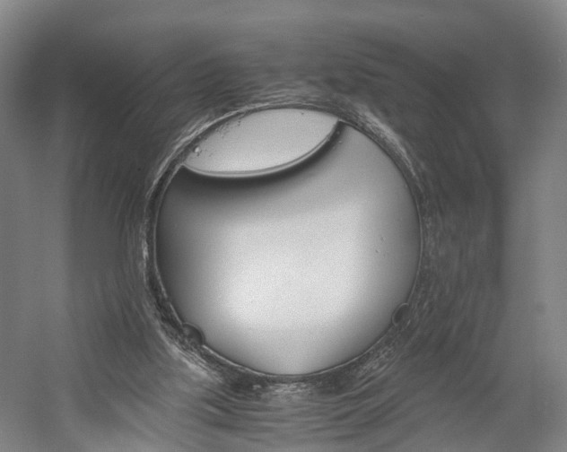 X0000058760059200509300824